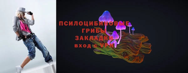 СК Абинск