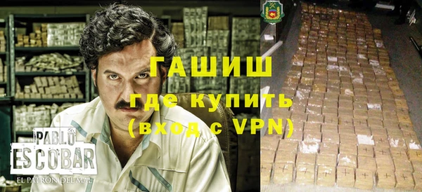 гашик Алексин