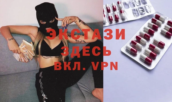 гашик Алексин