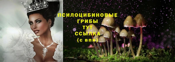 бошки Алексеевка