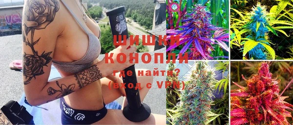гашик Алексин